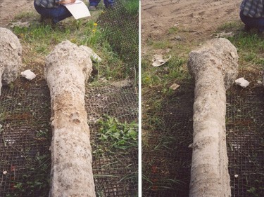 Капитальные быстровозводимые здания