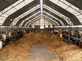 Каркасно-тентовые конструкции